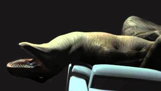 raptor couch vore