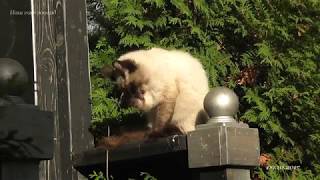 2017.10.09 Солнечно
