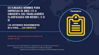 resolución 0312 de 2019