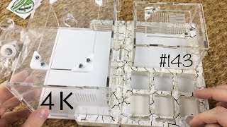 Впечатления от сборки формикария Ground + Арена.от AntHouse