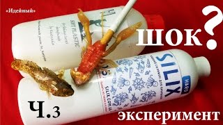 Как сделать приманку