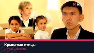 Детки-конфетки - Крылатые птицы
