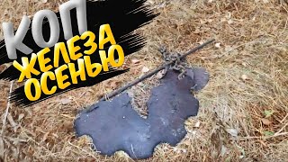 Много железа От таких находок даже зубы трещали