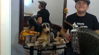 Мама ♥  Песни под гармонь ♪ Авторская песня про маму ♥