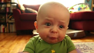 Top 10 Funniest Videos of ALL TIME