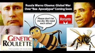 "BEE Apocalypse" Russia Warns Obama of War!!!