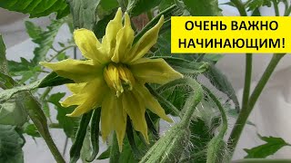 УЧИМСЯ ПОЛУЧАТЬ БОГАТЫЙ УРОЖАЙ! 