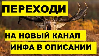 АЛЕНЬИ БАЙКИ. Этот канал под страйками, переходим на канал "РЕАЛИСТ доктор зло"