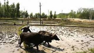 TULASIDAS-ANMOL RATAN-TULASI KAAYA KHETH-HINDI KAVITHA