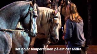 Kliv in i Orionteaterns magiska sagovärld