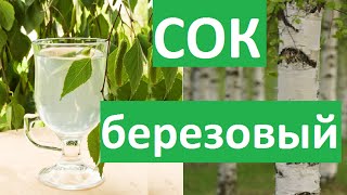 Березовый сок. Приготовление.