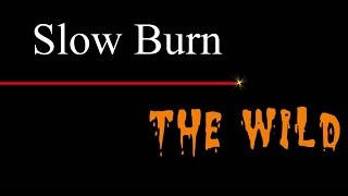 The Wild - Slow Burn ( lyrics )