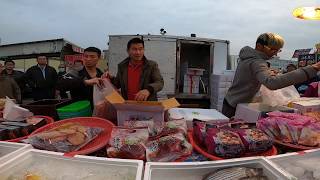 0217-3老闆突然跟阿偉道歉 為什麼道歉 聽老闆娓娓道來 阿偉真的是不錯的孩子 犧牲小我完成大我 嘉義趙又廷海鮮拍賣109年星期一台南永大夜市030161