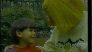 PIPO - SONRIE (VIDEO ORIGINAL)