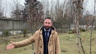 «На солнечном пляже в июне...» - стихотворение Александра Вертинского