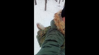 Я не мешаю Ушастику кушать орешек / I do not interfere with the Ushastik to eat a nut