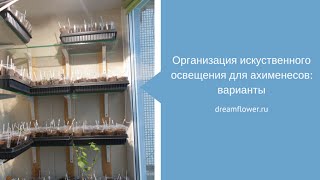 Организация искусственого освещения для ахименесов: варианты