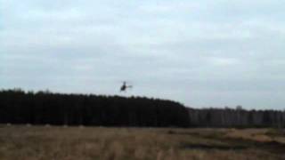 23.10.11.Runway Golden Lion ч.21 T-REX 450 Роман и Вадим