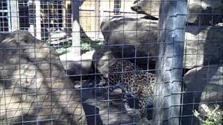 Great Bend Zoo