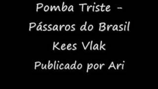 Pássaros Do Brasil - 2 Pomba Triste