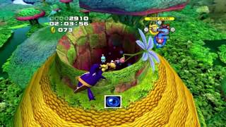 Frog Forest (Long Version) | Sonic Heroes (PC)