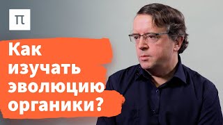 Космические фуллерены — Дмитрий Вибе 