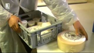 Швейцарска ферма за производство на млечни продукти