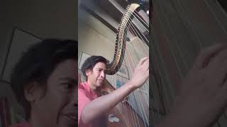 1st Harp Concerto N. Ch. Bochsa
In D minor (Excerpt)
