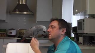 Попугай Григорий - 5 сезон, 8 серия