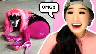 Reasons Why You Shouldn't Leave Your Pets With Kids