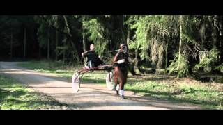 ponygirl training