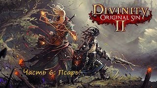 Divinity original sin 2. Прохождение на русском. Часть 6: Псарь