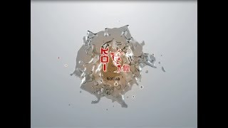 Ферма KOI.LTD (KOIFARM)