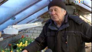 Пора цветущего бизнеса [ВИДЕО]