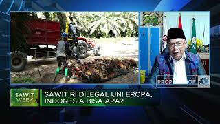 Petani Sawit: UU Anti Deforestasi Uni Eropa Melanggar HAM!
