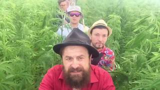 Добраночь - Нормальные Герои