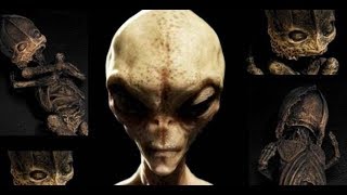 КЫШТЫМСКИЙ КАРЛИК - сбежавший образец.