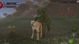 Wild Animals Online - How To Make A Banner!