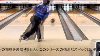 ピボットピュアパッション/ＥＢＯＮＩＴＥ　ブラックウィドーインサニティー/ＨＡＭＭＥＲ　コンプリートエイム/ＨＡＭＭＥＲ