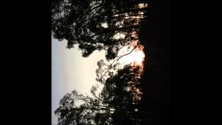 Loss Leader - Southbound