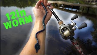 Foot Long Worm Catches GIANT Texas Bass — My Personal Best!