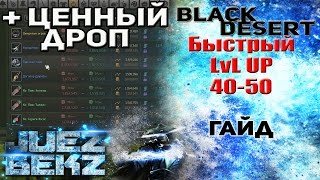 Black Desert Гайд: Быстрая прокачка 40-50 LvL + Ценные Споты