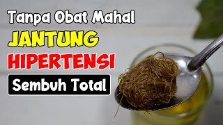 MAHA BESAR ALLAH! JANTUNG BERDEBAR-DEBAR DAN HIPERTENSI SEMBUH DALAM 2 MINGGU 