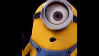 Minions (Despicable Me) - Goodnight / Goodmorning