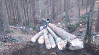 Timbercek 240 C
