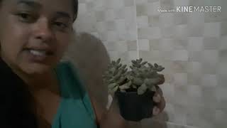 Fazendo janta arrumando a cozinha