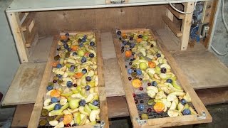 Сушилка для фруктов своими руками