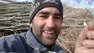 Нихолшинонии хайрия!!! 05.12.2018