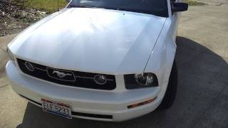 2006 Ford Mustang V6 Straight Pipe (Pony Car Package)