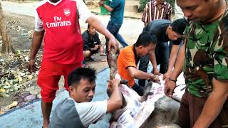 Sunatan adek valdo gana kevin